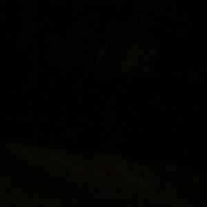 Meet your Posher, Lakeithia